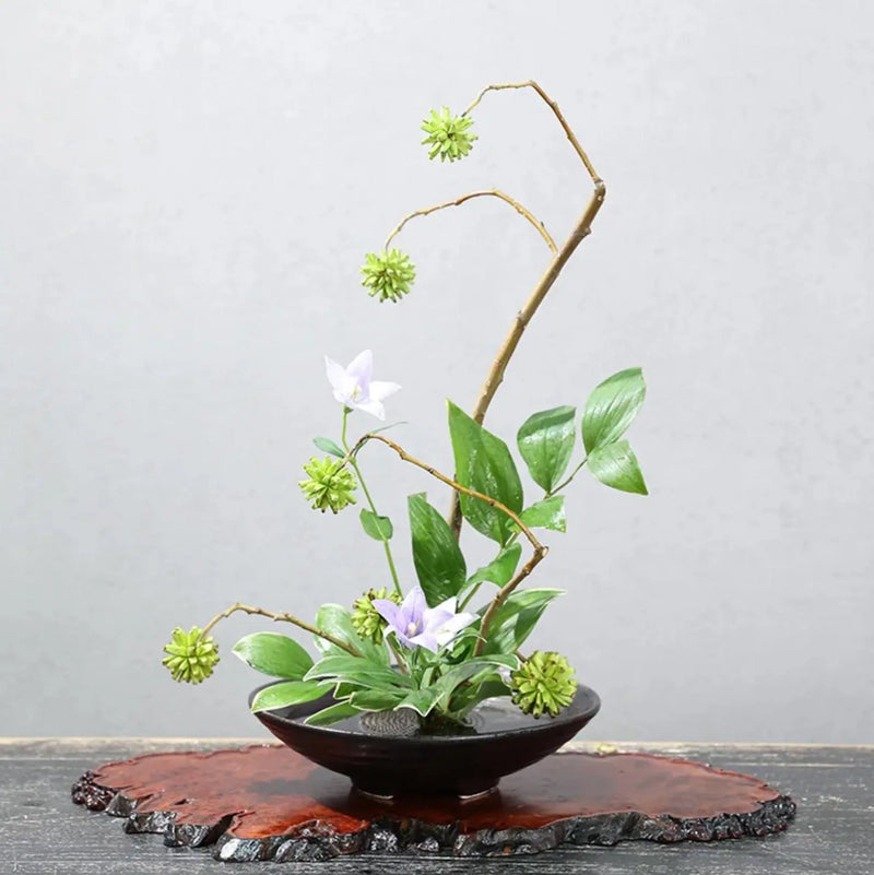 Round black moribana ikebana vase Au coeur du Japon